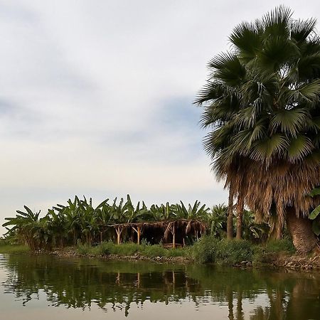 Il Campo Boutique Ecolodge El Hawamdeya Εξωτερικό φωτογραφία