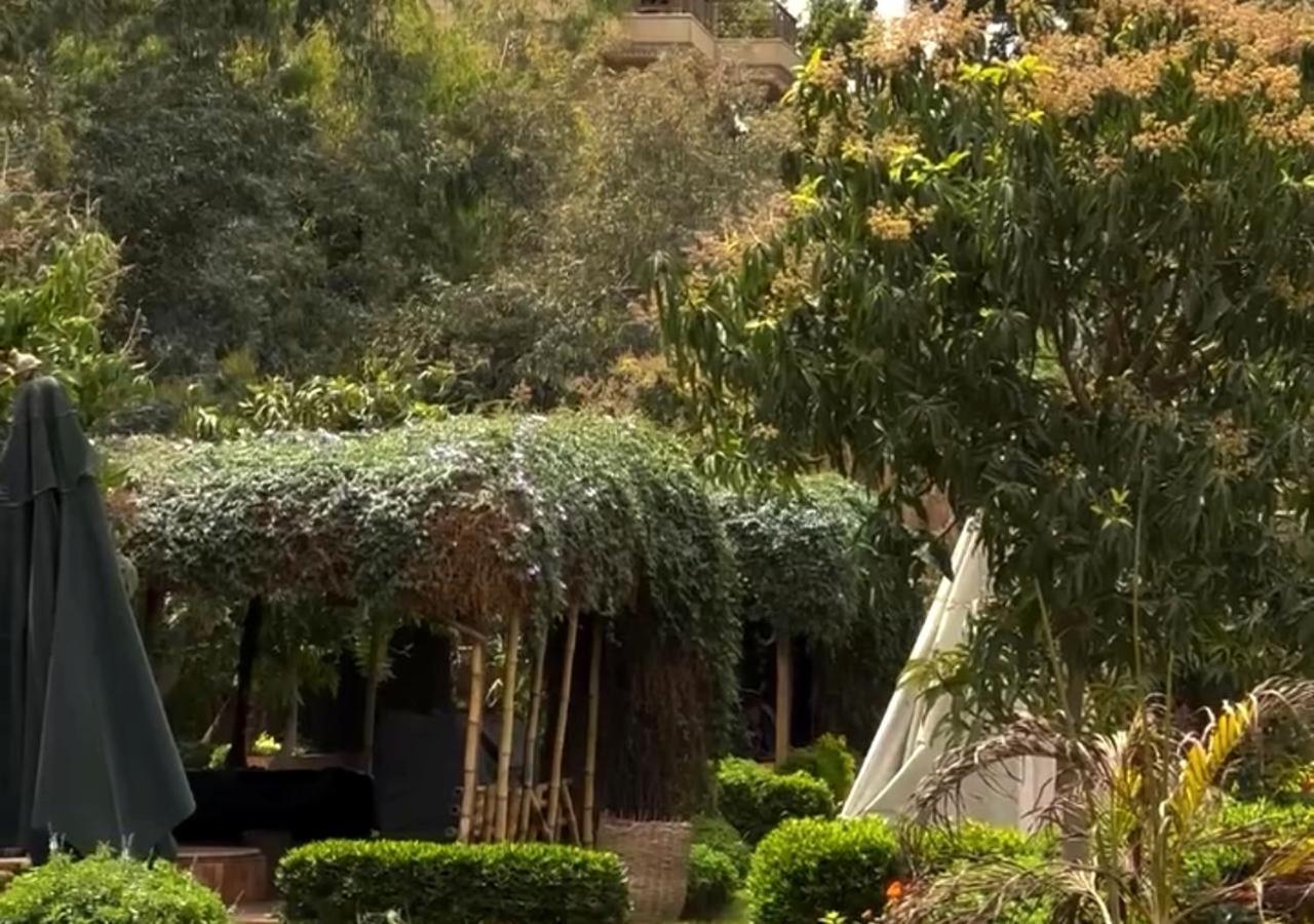 Il Campo Boutique Ecolodge El Hawamdeya Εξωτερικό φωτογραφία